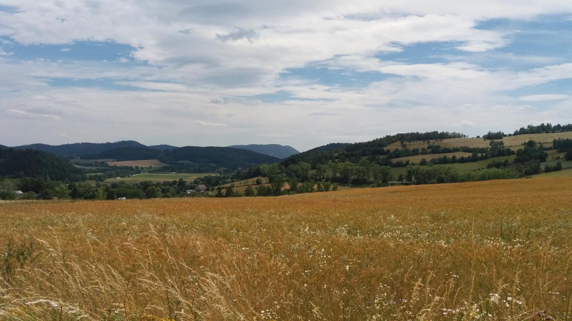 Maraska Holiday House Kamienna Gora Bagian luar foto