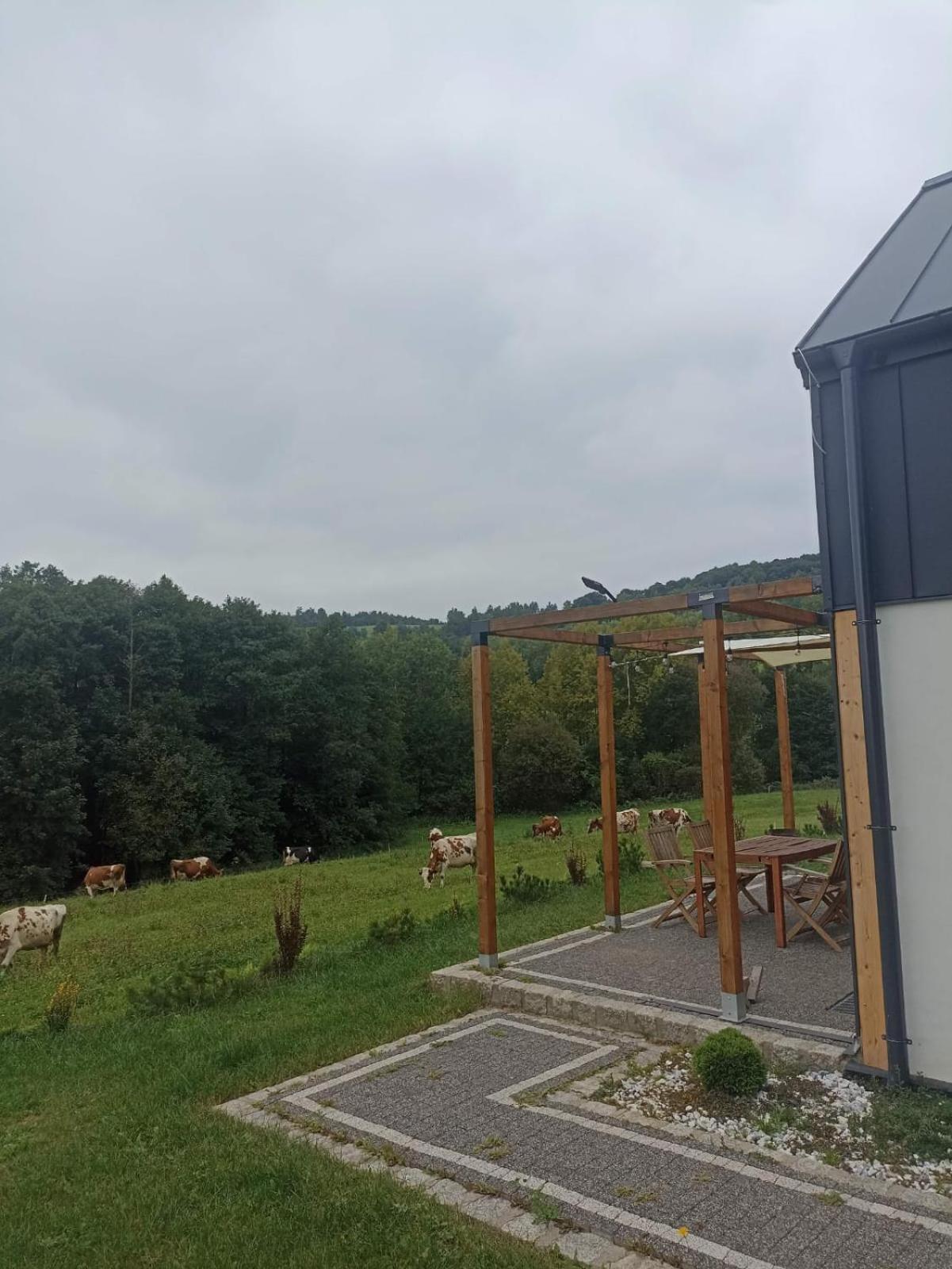 Maraska Holiday House Kamienna Gora Bagian luar foto
